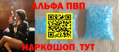 бошки Кингисепп