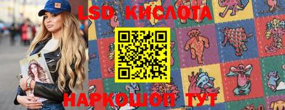 бошки Кингисепп