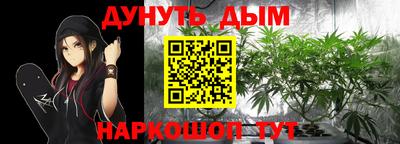 бошки Кингисепп