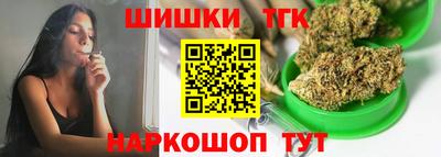 бошки Кингисепп
