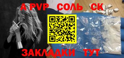 бошки Кингисепп