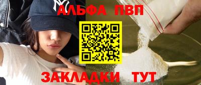бошки Кингисепп