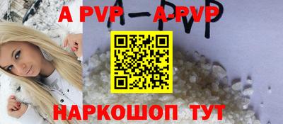 бошки Кингисепп