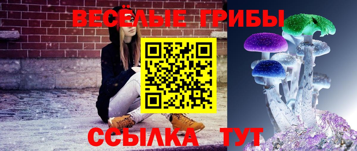 Псилоцибиновые грибы Psilocybine cubensis Южно-Сахалинск