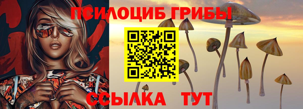Южно-Сахалинск  Галлюциногенные грибы Psilocybine cubensis  Вход с VPN 